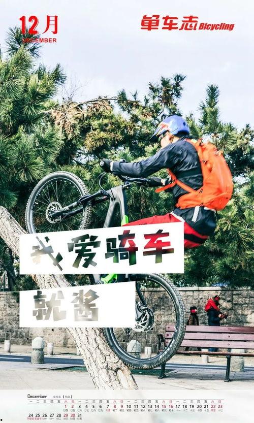 骑车的图片,捕捉城市绿意盎然的瞬间