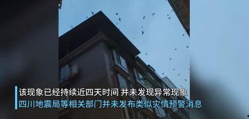 地震前兆视频,视频揭示预警信号