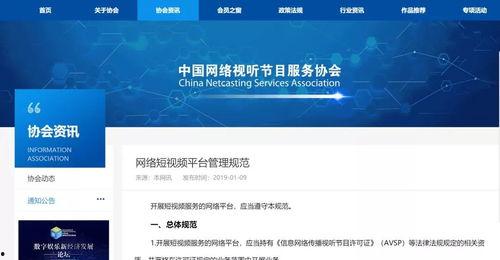 网络视频平台,内容创新与用户互动的完美融合