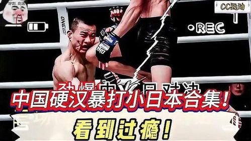暴打日本,暴打日本，捍卫民族尊严