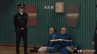 韩国脑残,文化根源与社会影响深度剖析