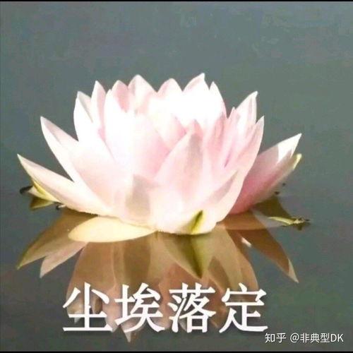 阿弥陀佛莲花图片,阿弥陀佛的慈悲画卷