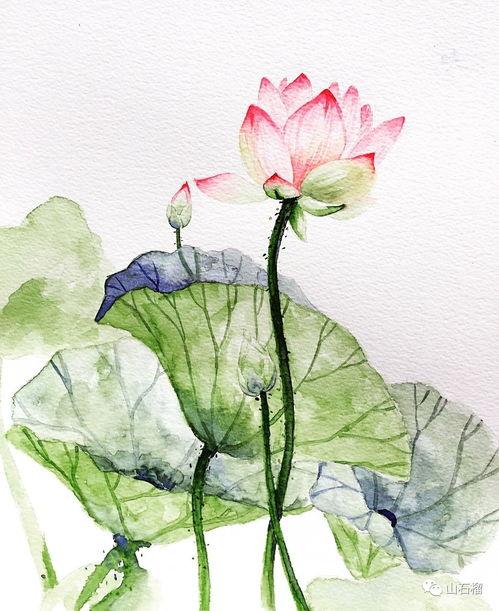 阿弥陀佛莲花图片,阿弥陀佛的慈悲画卷