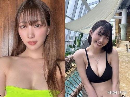 日本ava排行,盘点年度热门作品与明星