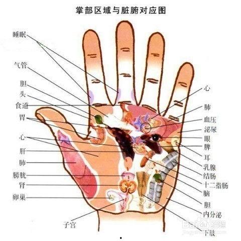 手掌骨刺图片大全,常见症状与防治方法一览