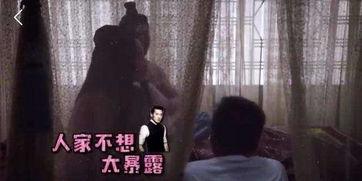 甘婷婷床戏裸戏,床戏裸戏背后的故事与情感纠葛