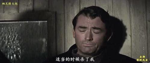 纳瓦隆大炮国语,揭秘二战神秘巨炮的传奇故事