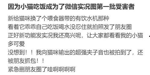 今日头条吃瓜图,揭秘娱乐圈最新热点事件