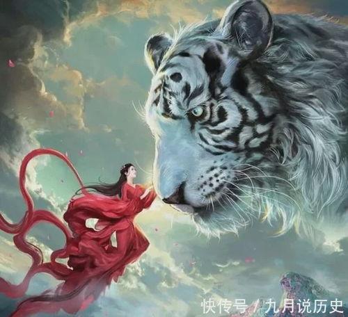 射手座的守护神兽图片,自由翱翔的翼龙传奇