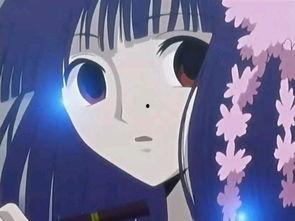 日本座敷,探寻日本传统座敷文化的魅力与传承