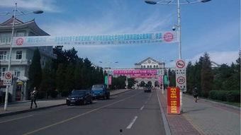 延边图片,探寻东北亚文化交融的瑰宝