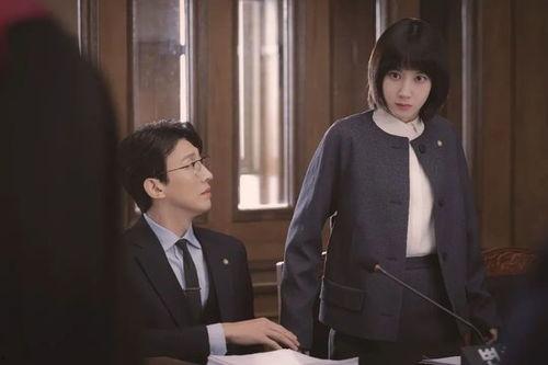韩国电视剧律师,正义的守护者，法律的捍卫者