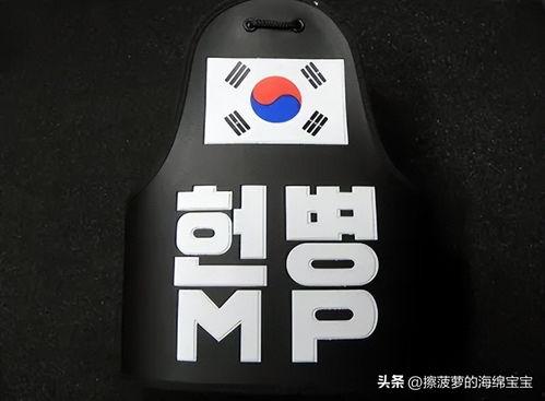 韩国陆军臂章,彰显荣誉与使命的象征