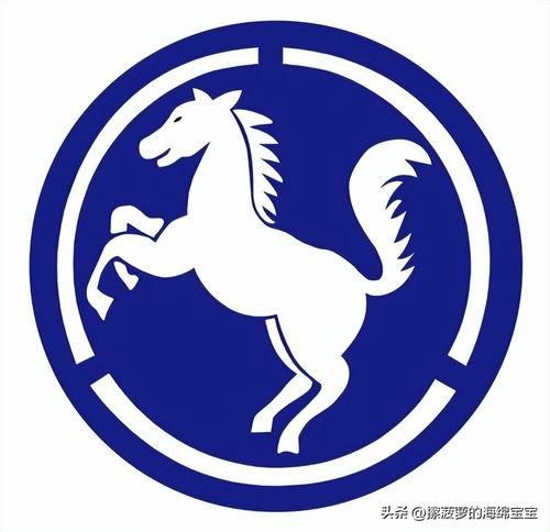 韩国陆军臂章,彰显荣誉与使命的象征