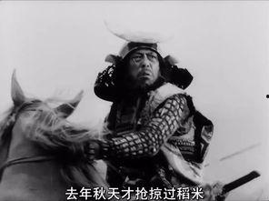 日本 七武士,日本战国时代的守护传奇