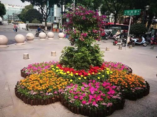 摆盆花式图片大全,摆盆花式图片大全赏析