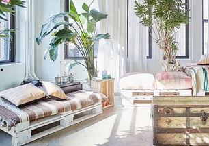 摆盆花式图片大全,摆盆花式图片大全赏析