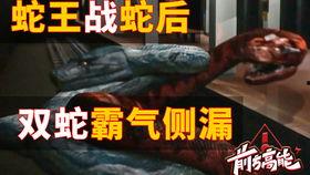 蟒蛇大战电影国语,惊心动魄的丛林生死较量