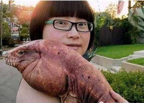 日本女人和动物,和谐共生的美丽画卷