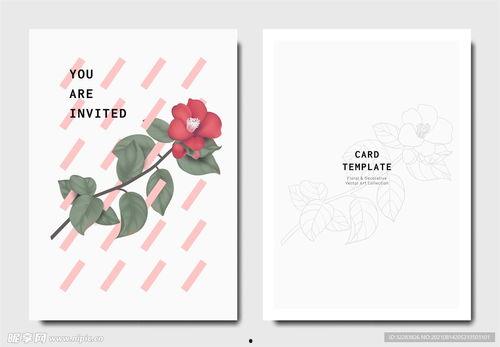 做植物卡片的图片大全,千姿百态的自然之美