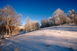 冬季图片大全,图片大全中的冰雪世界