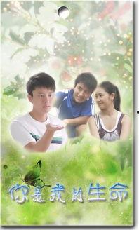 你是我的生命国语版,深情演绎人生旅程