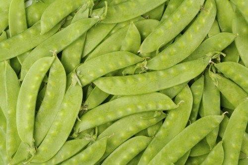 荷兰豆种子图片大全,品种繁多，色彩斑斓