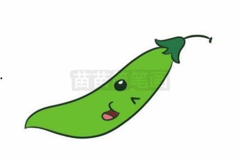 荷兰豆种子图片大全,品种繁多，色彩斑斓