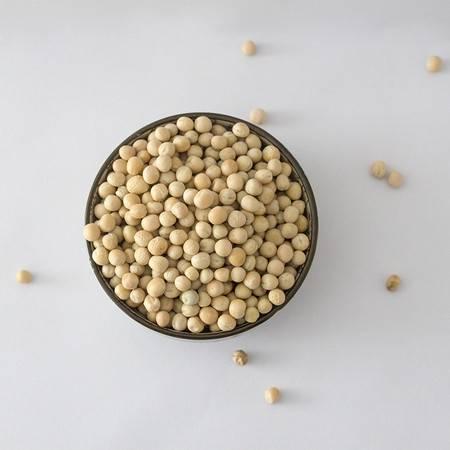 荷兰豆种子图片大全,品种繁多，色彩斑斓