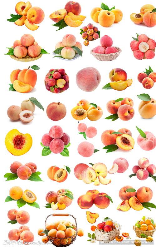 桃子的图片大全