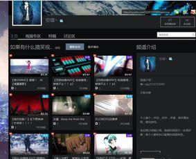 二级视频在线观看