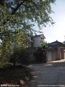 人家图片,XX领域的创新与突破