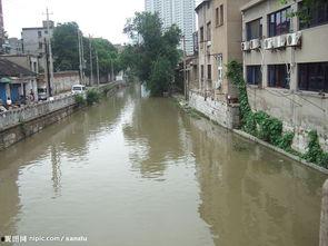 人家图片,XX领域的创新与突破