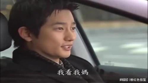 韩剧家门之光国语版,揭示家族恩怨与人性光辉的史诗巨作