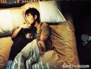 韩国少儿不宜的电影,揭秘韩国少儿不宜电影背后的故事