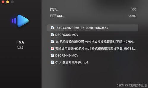 视频播放器 mac,功能解析与使用技巧