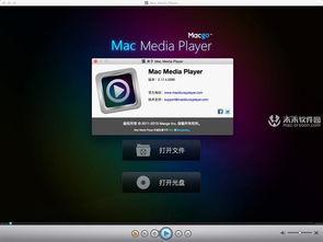 视频播放器 mac,功能解析与使用技巧