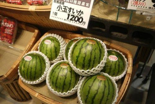 日本西瓜价钱,品味甜蜜背后的经济密码