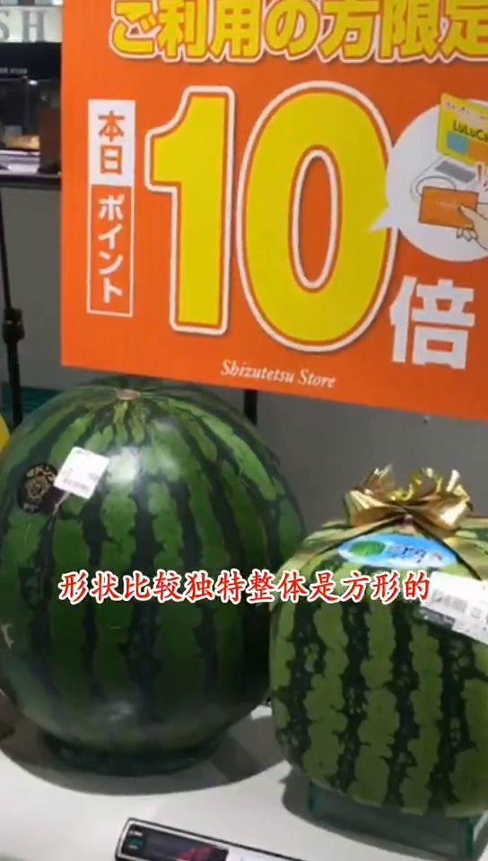 日本西瓜价钱,品味甜蜜背后的经济密码