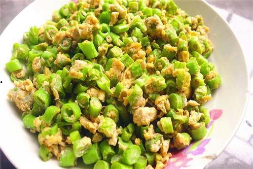 种豆角视频,从播种到收获的精彩瞬间