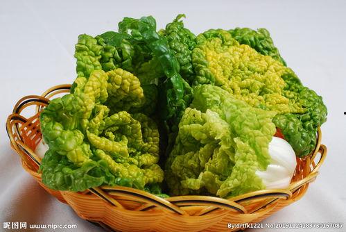奶油白菜图片