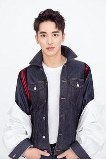 许魏洲日本,探寻东方魅力与文化交流之旅