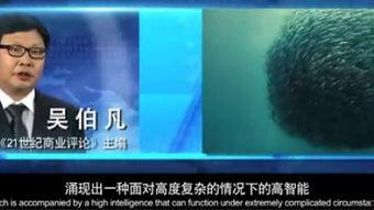 pans 内部视频,揭秘神秘视频背后的奥秘