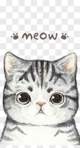 猫头图片大全,可爱猫头图片精选