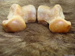 鼻屎图片,揭秘鼻腔内的奇妙景象