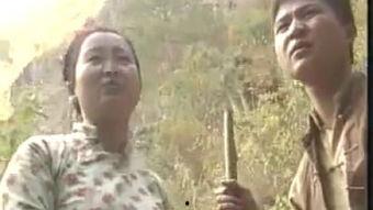 血情在线观看,揭秘生死边缘的生死较量