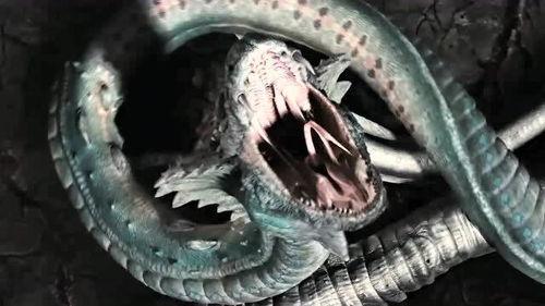 韩国的蟒蛇,神秘生物的生态探秘