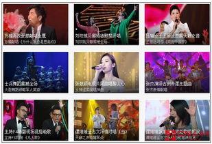 金鹰直播在线观看,精彩瞬间，一键尽享