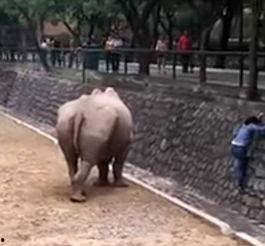 女孩困墨西哥在线观看,女孩的在线寻梦之旅