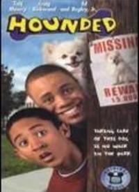 电影狩猎者在线观看,在线观影之旅，揭秘惊悚悬疑背后的真相